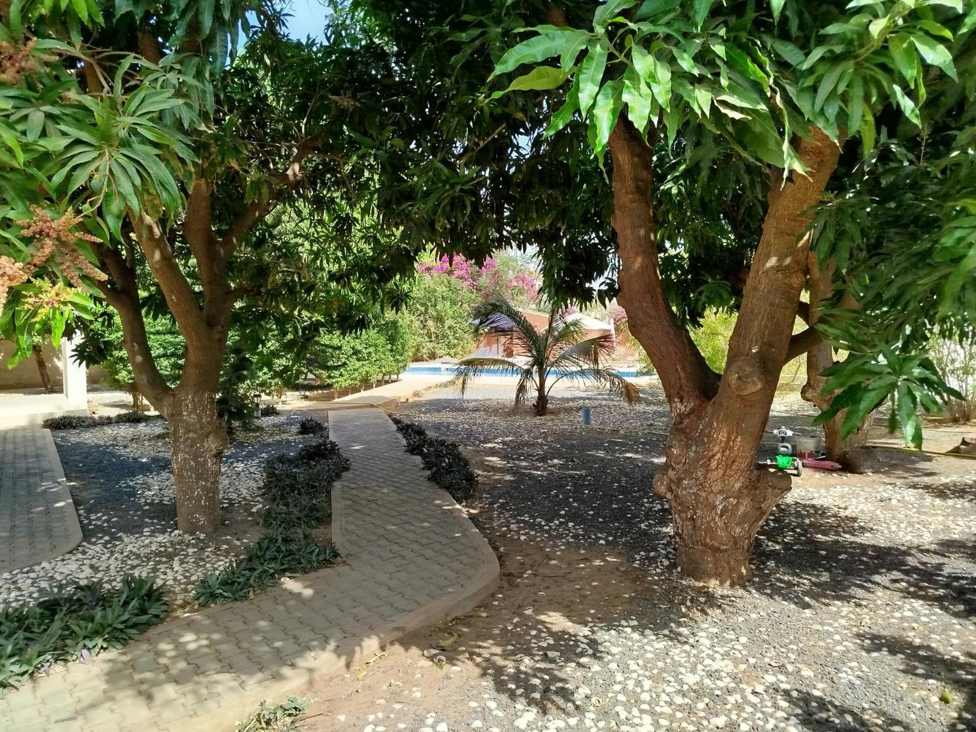 Hotel Al Jannah Bis Somone Exteriér fotografie